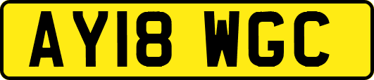 AY18WGC