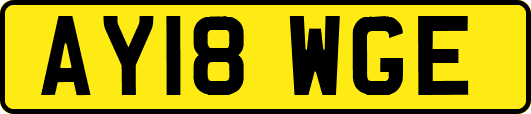 AY18WGE