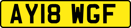 AY18WGF