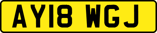 AY18WGJ