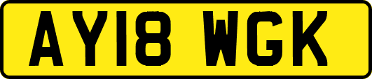 AY18WGK