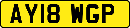 AY18WGP