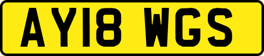 AY18WGS