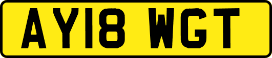 AY18WGT