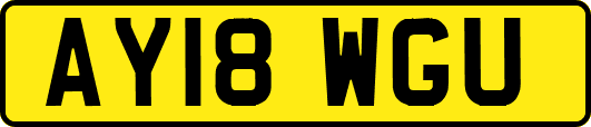 AY18WGU