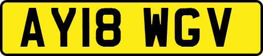 AY18WGV