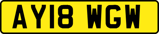 AY18WGW