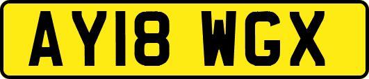 AY18WGX