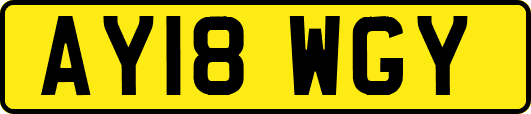 AY18WGY