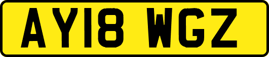 AY18WGZ