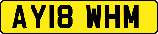 AY18WHM