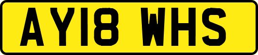 AY18WHS