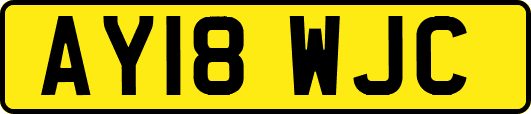 AY18WJC