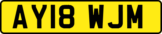 AY18WJM
