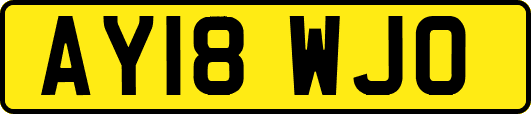 AY18WJO