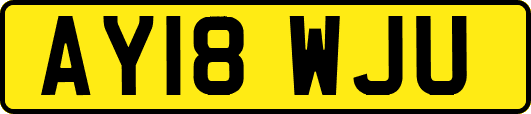 AY18WJU
