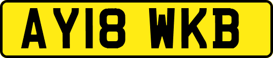 AY18WKB