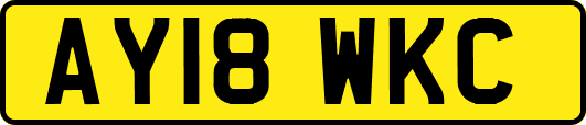 AY18WKC