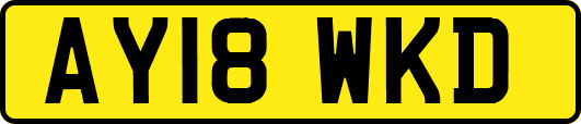 AY18WKD