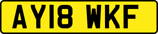 AY18WKF