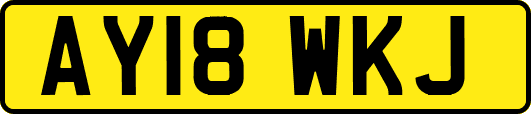 AY18WKJ