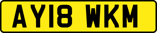AY18WKM