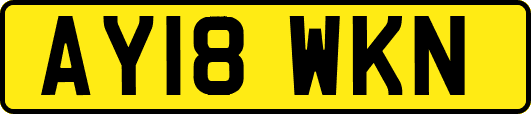 AY18WKN