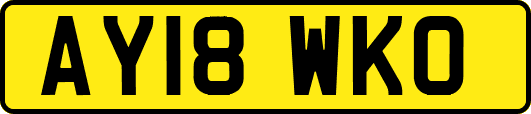 AY18WKO