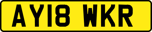 AY18WKR