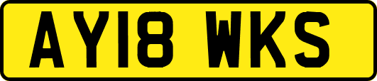 AY18WKS