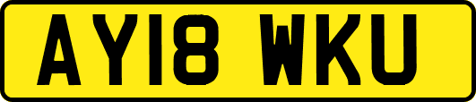 AY18WKU