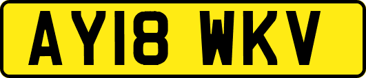 AY18WKV