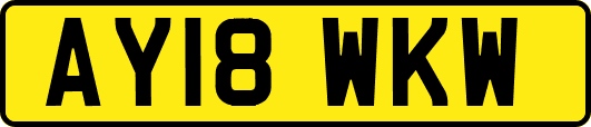 AY18WKW