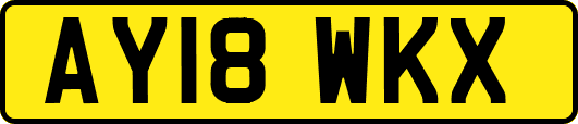 AY18WKX