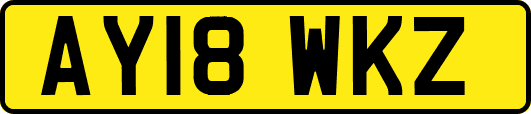 AY18WKZ