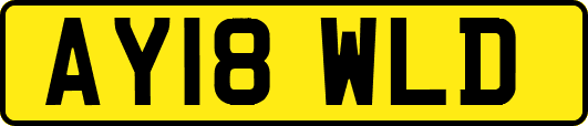 AY18WLD