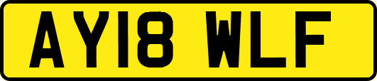 AY18WLF