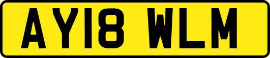 AY18WLM