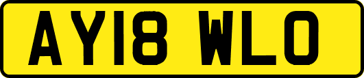 AY18WLO