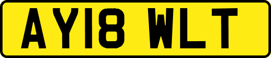 AY18WLT