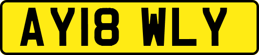 AY18WLY
