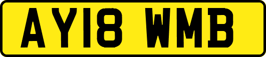 AY18WMB