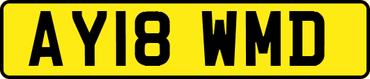AY18WMD