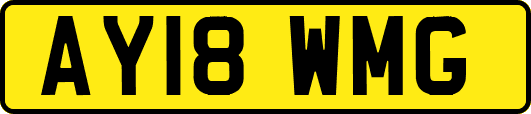 AY18WMG