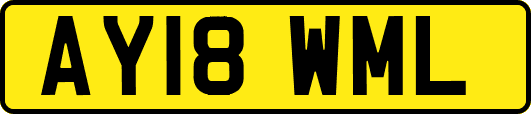 AY18WML