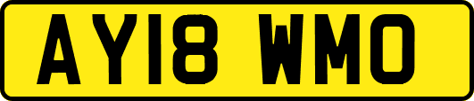 AY18WMO