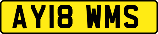AY18WMS