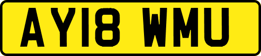 AY18WMU