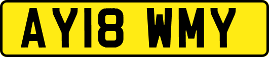 AY18WMY