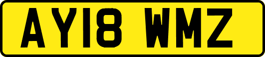 AY18WMZ